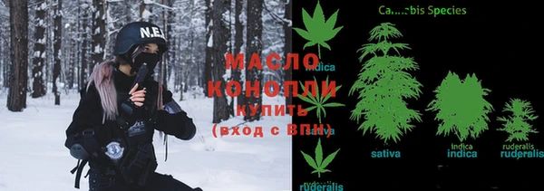 сатива Осинники