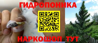 не бодяженный Гатчина