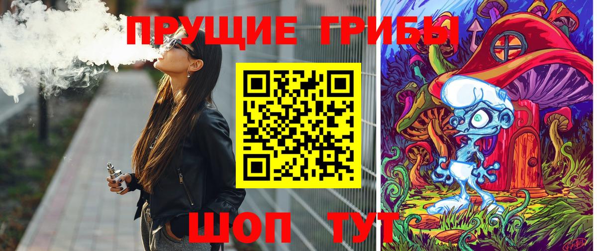 Галлюциногенные грибы Psilocybe Дальнереченск