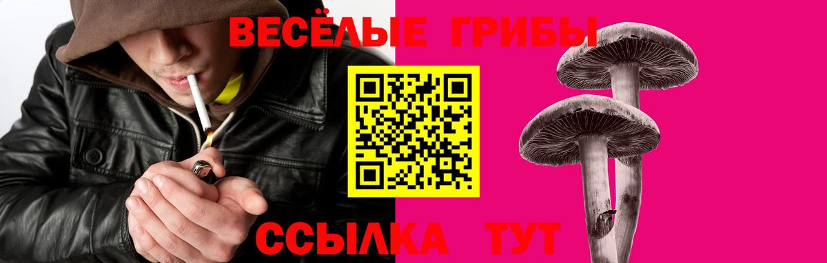 Псилоцибиновые грибы мицелий  Галлюциногенные грибы Magic Shrooms  Дальнереченск  Вход с VPN 